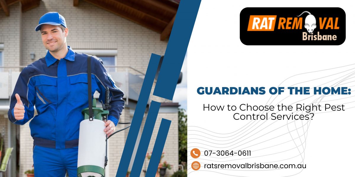 Guardians of the Home: How to Choose the Right Pest Control Services?