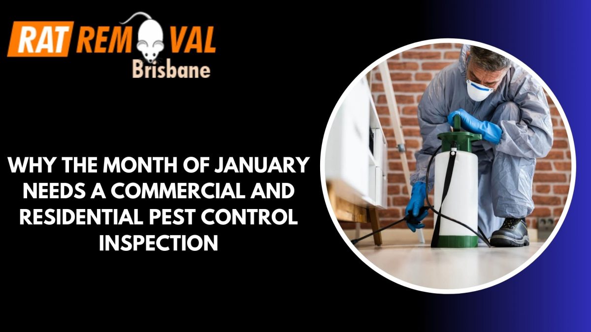 Why the Month of January Needs a Commercial and Residential Pest Control Inspection