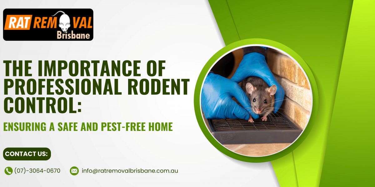 The Importance of Professional Rodent Control: Ensuring a Safe and Pest-Free Home