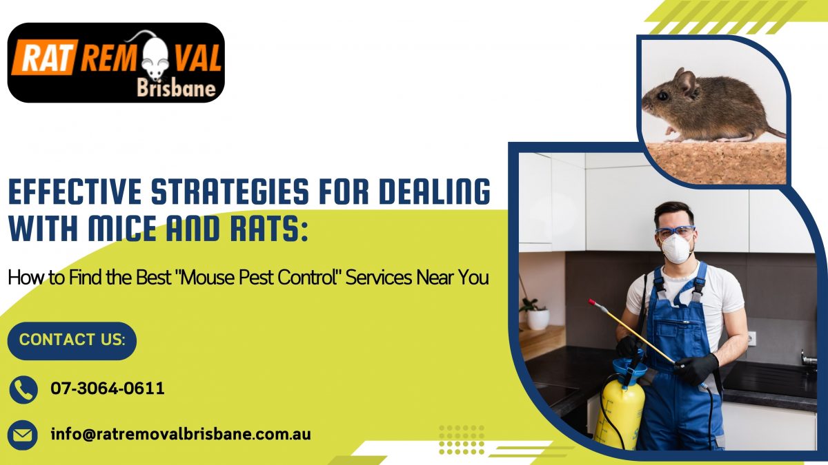 Effective Strategies for Dealing with Mice and Rats: How to Find the Best “Mouse Pest Control” Services Near You