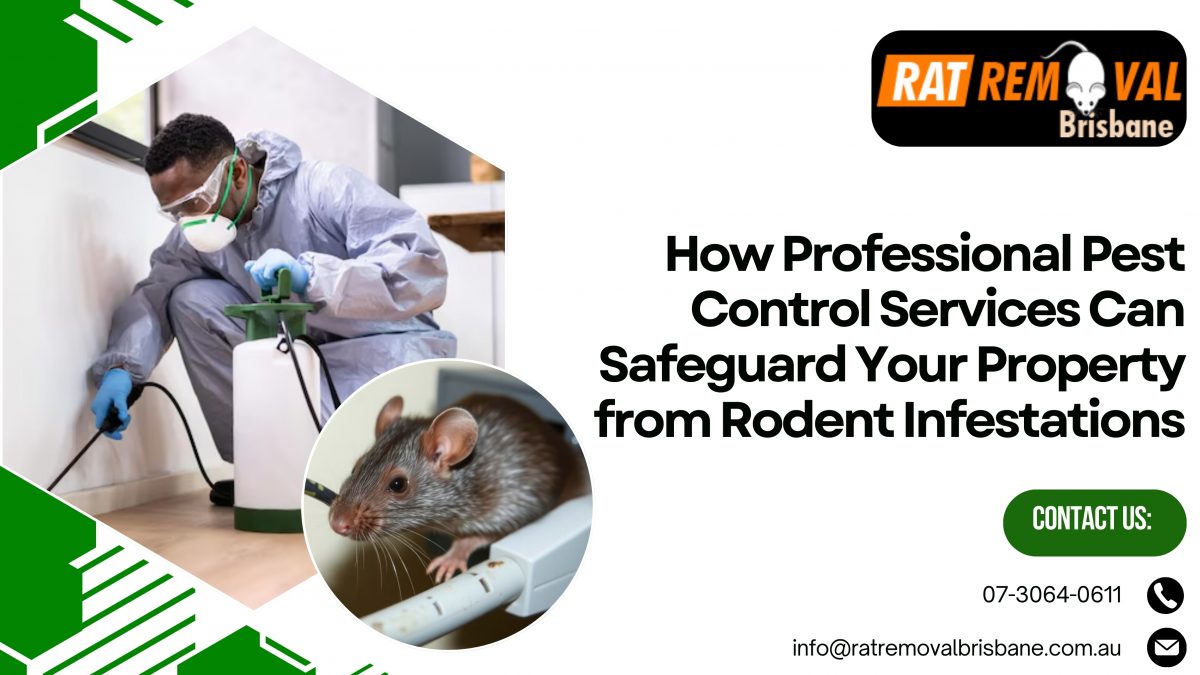 How Professional Pest Control Services Can Safeguard Your Property from Rodent Infestations