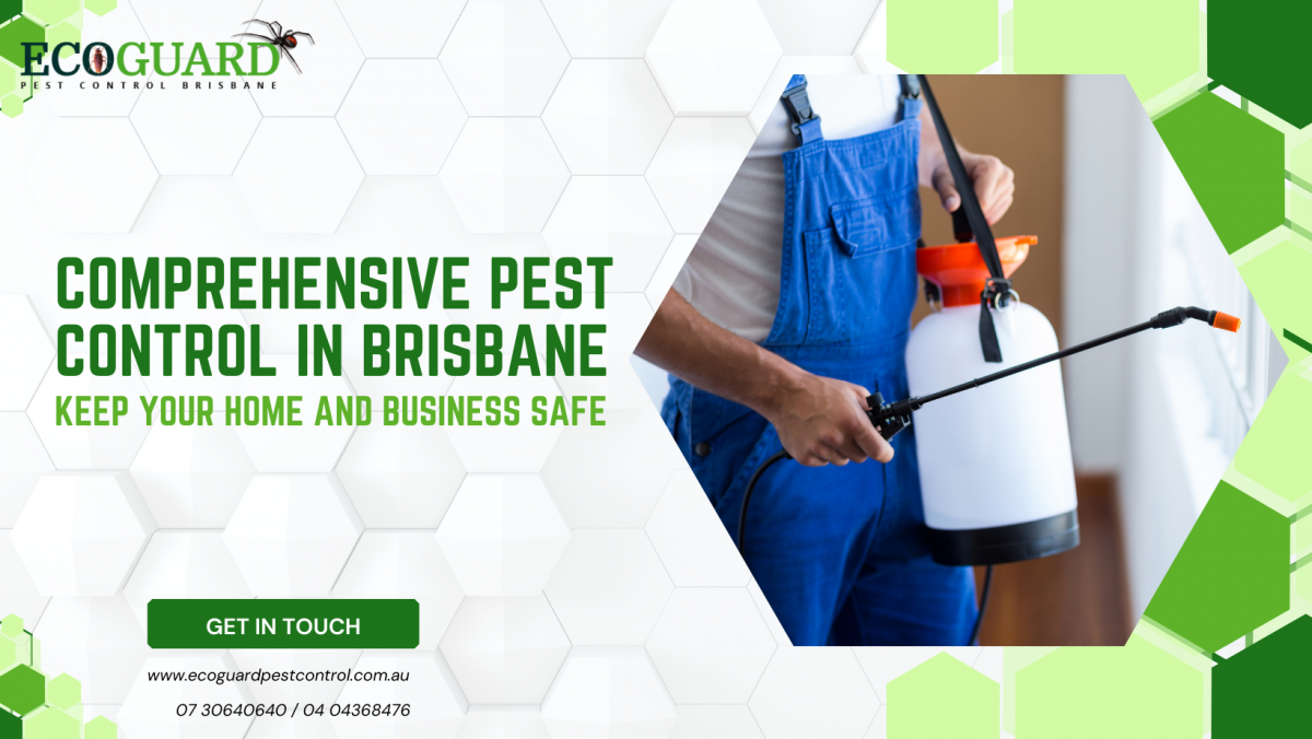 Comprehensive Pest Control in Brisbane: Keep Your Home and Business Safe
